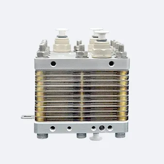 PEM Electrolyzers