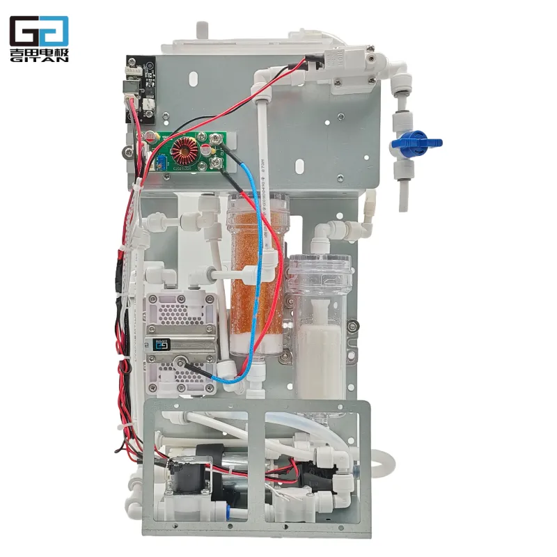 Over-Flow Hydrogen-Rich Water Module