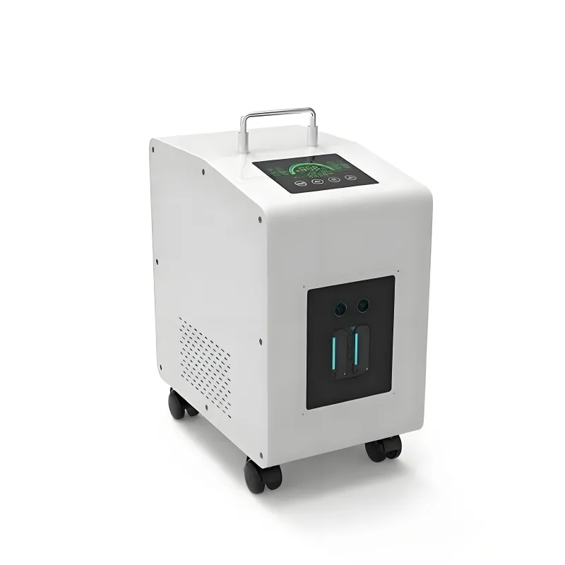 Domestic Hydrogen Inhalation Devices with Integrated PEM Electrolysers Principles, System Architecture, and Applications