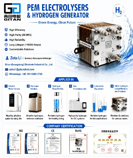 High-Purity Hydrogen with Advanced PEM Electrolysers