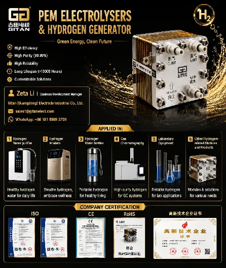 Why PEM Electrolyzers Are the Core Technology Behind Modern Hydrogen Generation