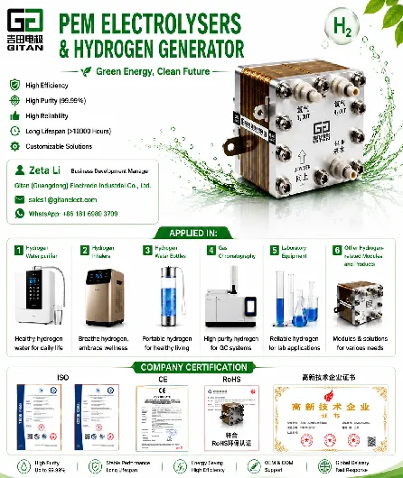 Why PEM Electrolyzers Remain the Backbone of Reliable Green Hydrogen Production