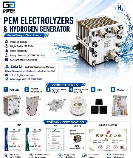 Why PEM Electrolyzers Are Powering the Next Wave of Green Hydrogen Projects Worldwide