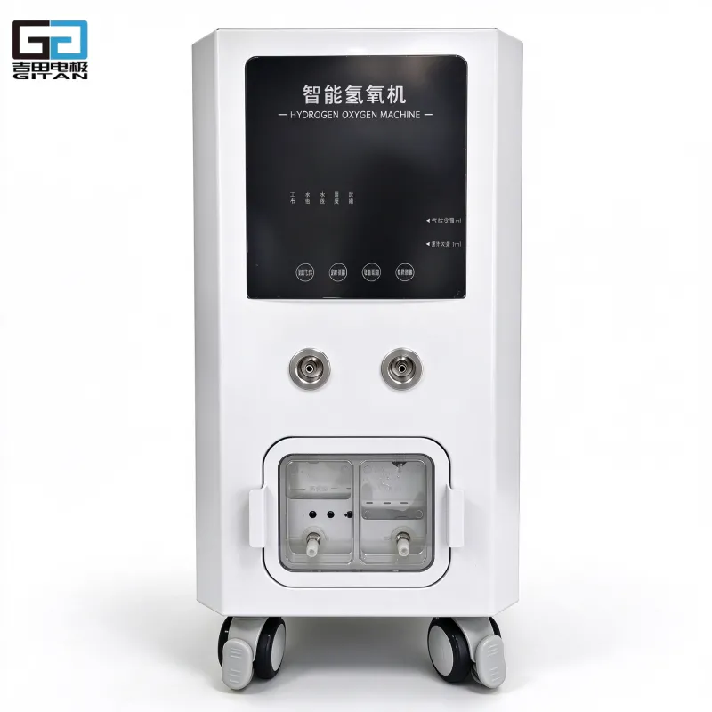 Hydrogen Inhaler 2000ml/min Machine Hydrogen Oxygen Generator with PEM Electrolyzer